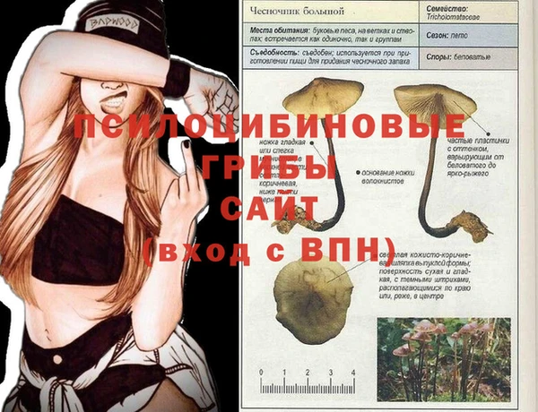 ECSTASY Киренск