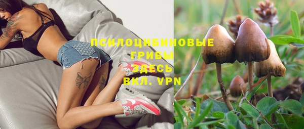 a pvp Кинешма