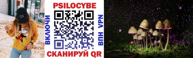 дарнет шоп  Тверь  Галлюциногенные грибы GOLDEN TEACHER 